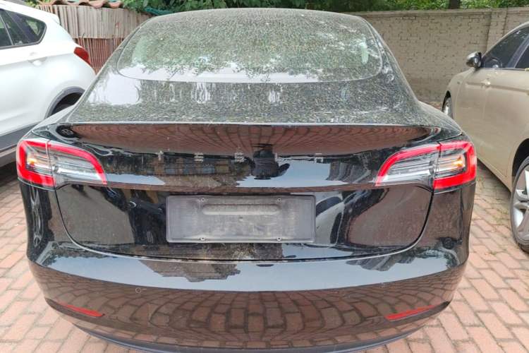 Used Tesla Model 3 2020 Refreshed Version Long-Range Rear-Wheel Drive Rear