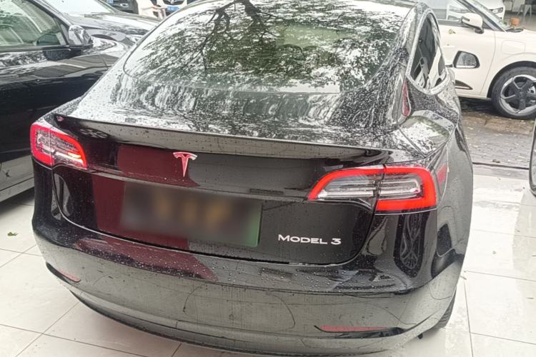 Used Tesla Model 3 2020 Standard Range Rear-Wheel Drive Upgraded Version Rear