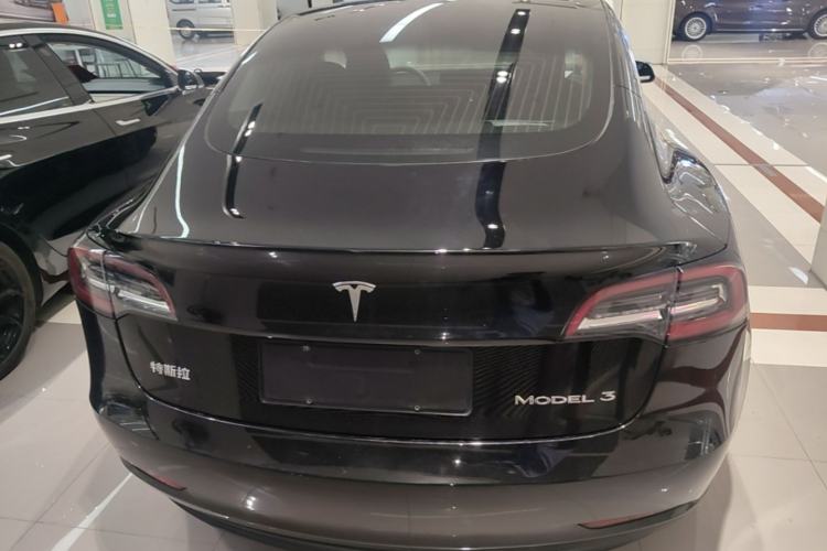 Used Tesla Model 3 2020 Standard Range Rear-Wheel Drive Upgraded Version Rear