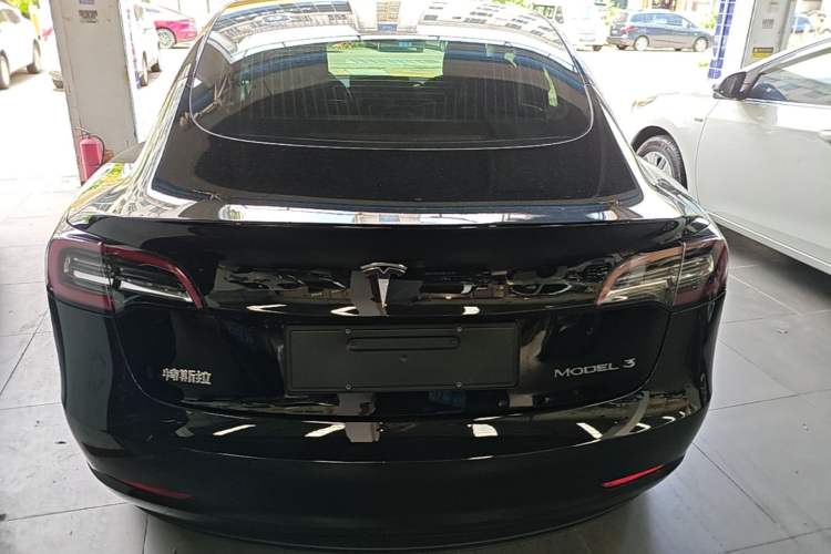 Used Tesla Model 3 2020 Standard Range Rear-Wheel Drive Upgraded Version Rear