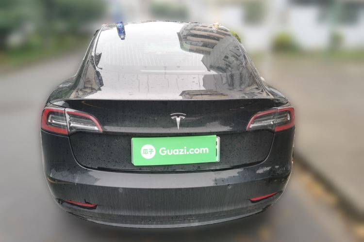 Used Tesla Model 3 2020 Standard Range Rear-Wheel Drive Upgraded Version Rear