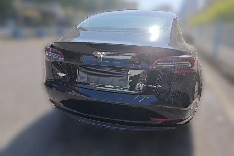 Used Tesla Model 3 2020 Standard Range Rear-Wheel Drive Upgraded Version Rear