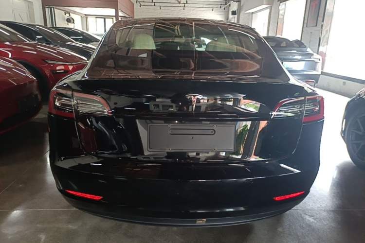 Used Tesla Model 3 2020 Long-Range Rear-Wheel-Drive Version Rear