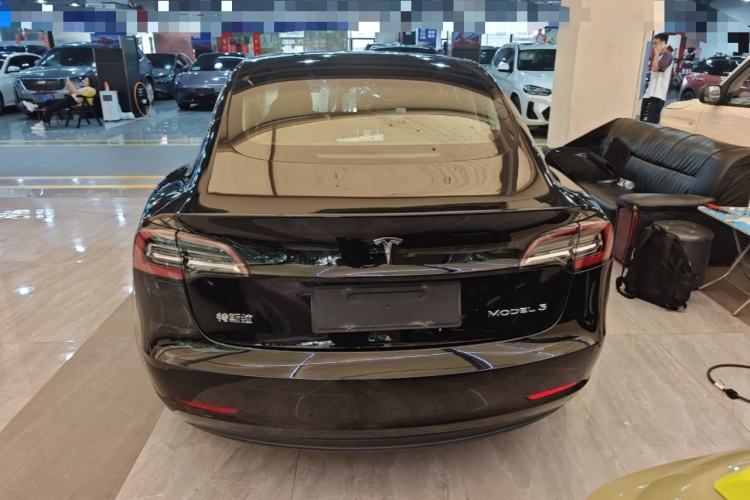 Used Tesla Model 3 2020 Standard Range Rear-Wheel Drive Upgraded Version Rear