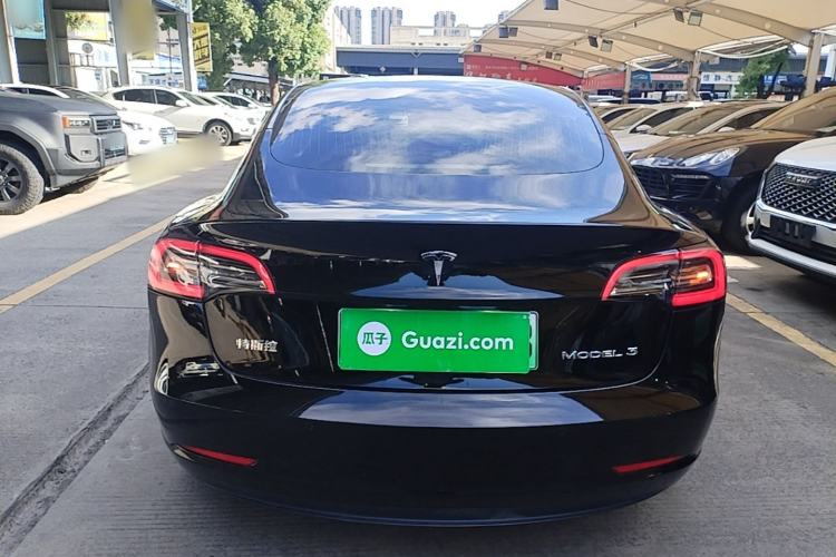 Used Tesla Model 3 2020 Standard Range Rear-Wheel Drive Upgraded Version Rear