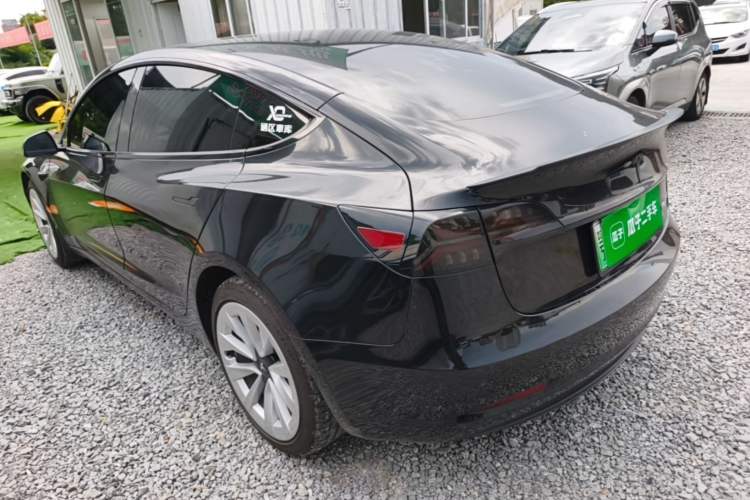 Used Tesla Model 3 2020 Standard Range Rear-Wheel Drive Upgraded Version Rear Left 45 Deg