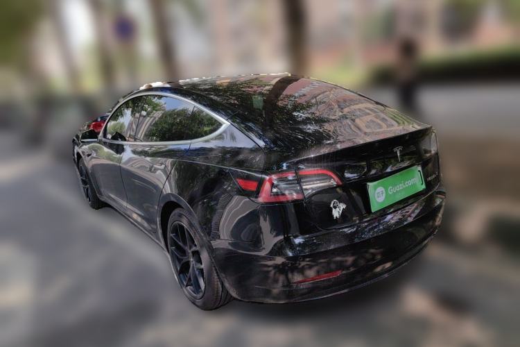Used Tesla Model 3 2020 Standard Range Rear-Wheel Drive Upgraded Version Rear Left 45 Deg
