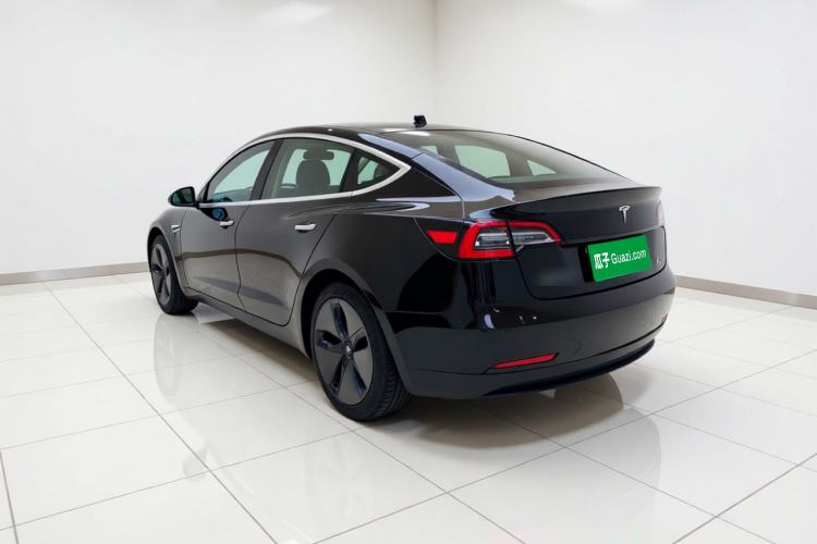Used Tesla Model 3 2020 Standard Range Rear-Wheel Drive Upgraded Version Rear Left 45 Deg