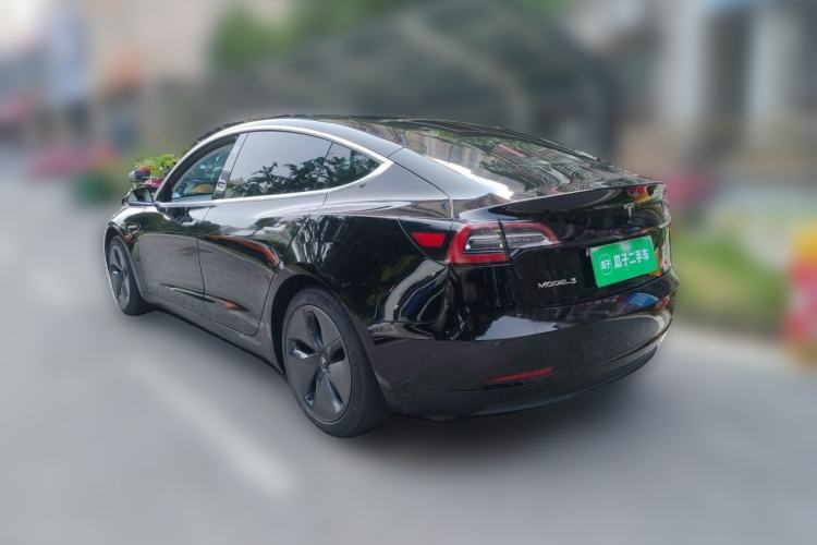 Used Tesla Model 3 2020 Standard Range Rear-Wheel Drive Upgraded Version Rear Left 45 Deg