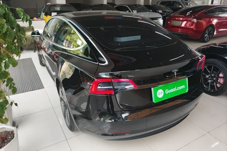 Used Tesla Model 3 2020 Standard Range Rear-Wheel Drive Upgraded Version Rear Left 45 Deg