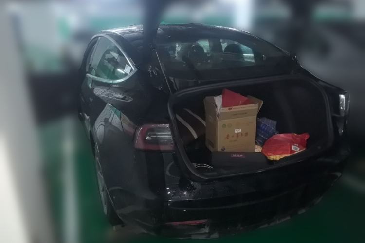 Used Tesla Model 3 2020 Standard Range Rear-Wheel Drive Upgraded Version Rear Left 45 Deg