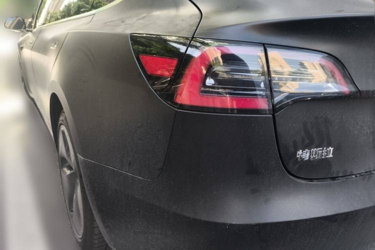 Used Tesla Model 3 2020 Revised Version Standard Range Rear-Wheel Drive – Upgraded Edition Rear Left 45 Deg