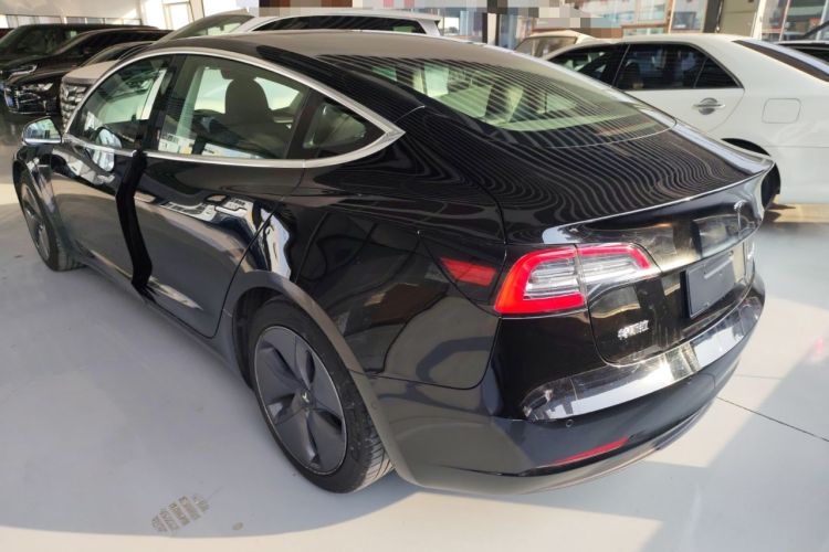 Used Tesla Model 3 2020 Standard Range Rear-Wheel Drive Upgraded Version Rear Left 45 Deg