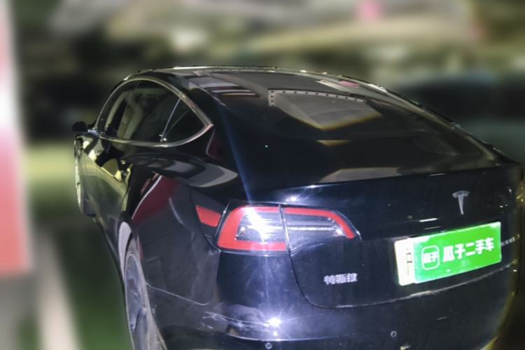 Used Tesla Model 3 2020 Standard Range Rear-Wheel Drive Upgraded Version Rear Left 45 Deg