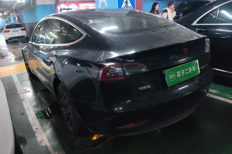 Used Tesla Model 3 2020 Standard Range Rear-Wheel Drive Upgraded Version Rear Left 45 Deg