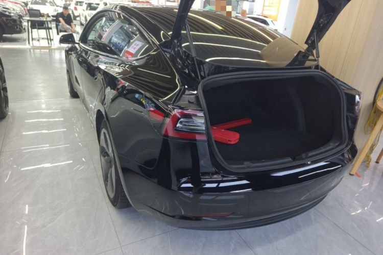 Used Tesla Model 3 2020 Standard Range Rear-Wheel Drive Upgraded Version Rear Left 45 Deg