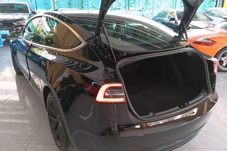 Used Tesla Model 3 2020 Standard Range Rear-Wheel Drive Upgraded Version Rear Left 45 Deg