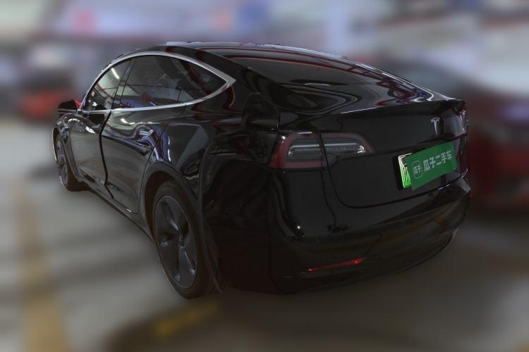 Used Tesla Model 3 2020 Standard Range Rear-Wheel Drive Upgraded Version Rear Left 45 Deg