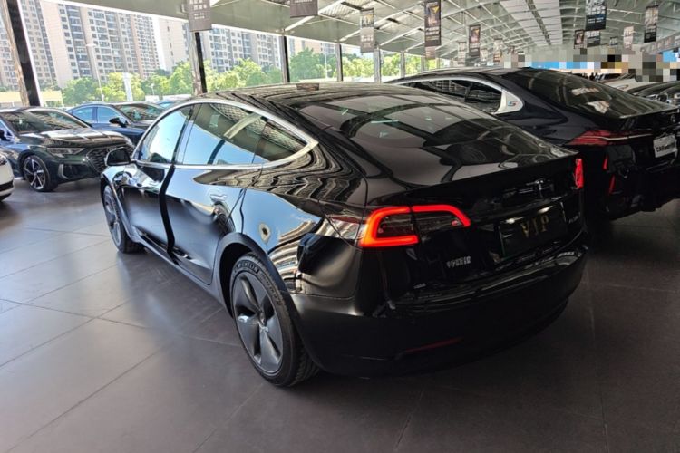 Used Tesla Model 3 2020 Standard Range Rear-Wheel Drive Upgraded Version Rear Left 45 Deg