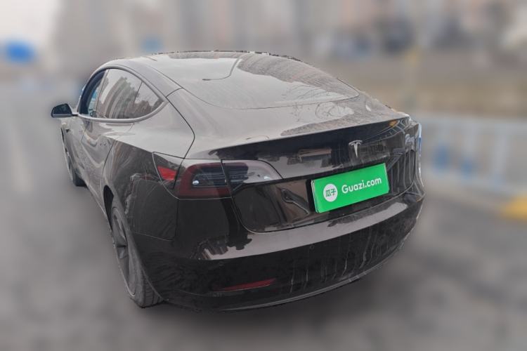 Used Tesla Model 3 2020 Standard Range Rear-Wheel Drive Upgraded Version Rear Left 45 Deg