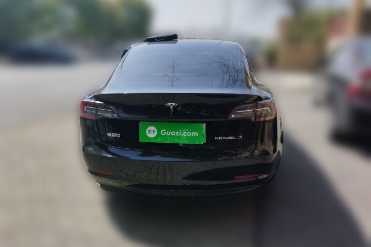 Used Tesla Model 3 2020 Standard Range Rear-Wheel Drive Upgraded Version Rear