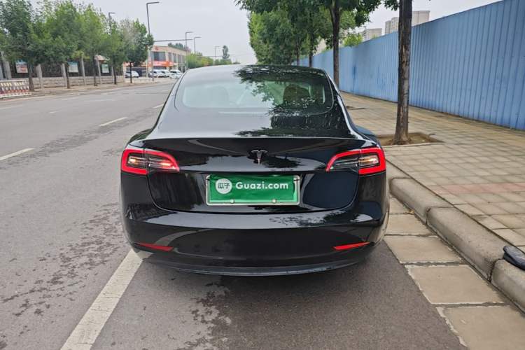 Used Tesla Model 3 2020 Standard Range Rear-Wheel Drive Upgraded Version Rear