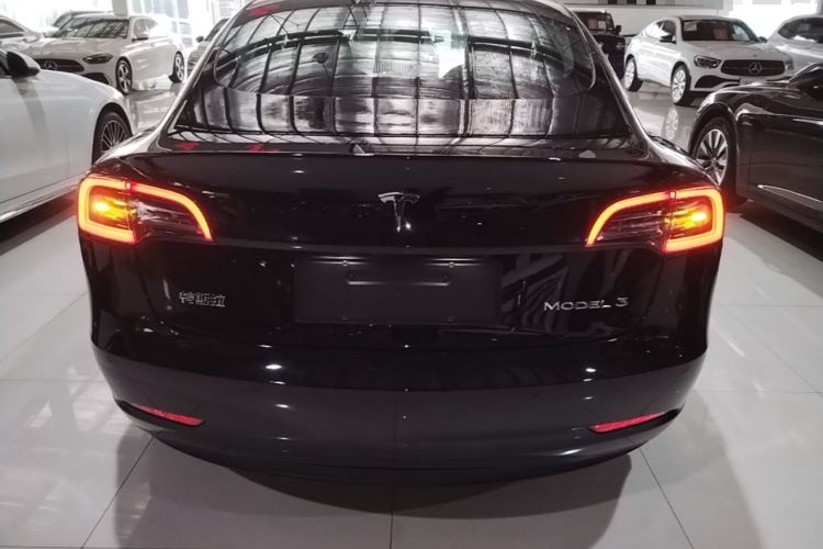 Used Tesla Model 3 2020 Standard Range Rear-Wheel Drive Upgraded Version Rear