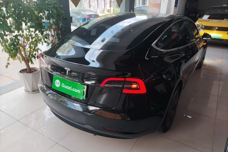 Used Tesla Model 3 2020 Standard Range Rear-Wheel Drive Upgraded Version Rear Right 45 Deg
