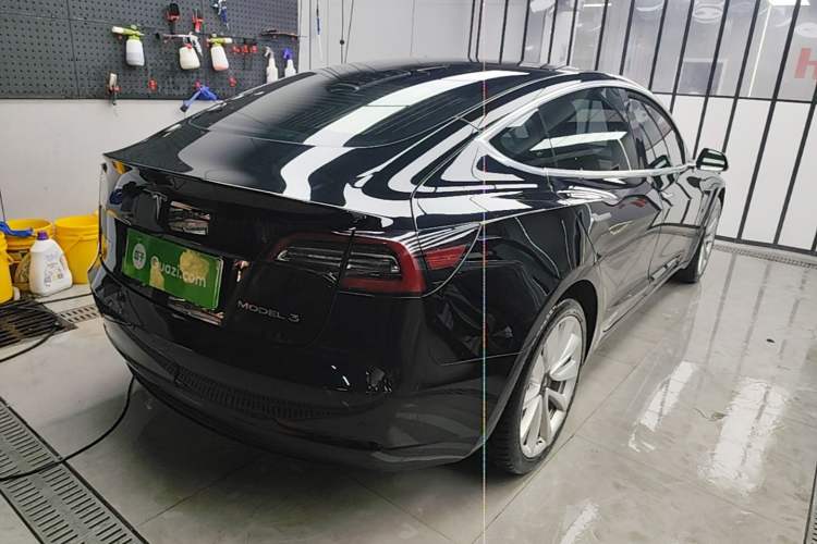 Used Tesla Model 3 2020 Standard Range Rear-Wheel Drive Upgraded Version Rear Right 45 Deg