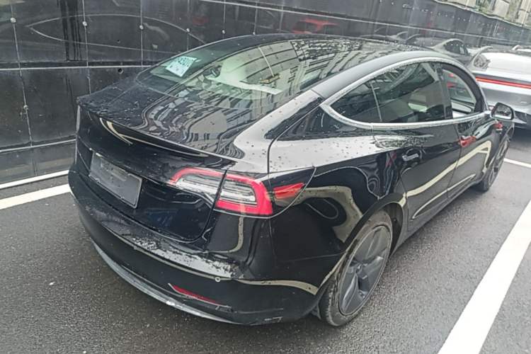 Used Tesla Model 3 2020 Standard Range Rear-Wheel Drive Upgraded Version Rear Right 45 Deg