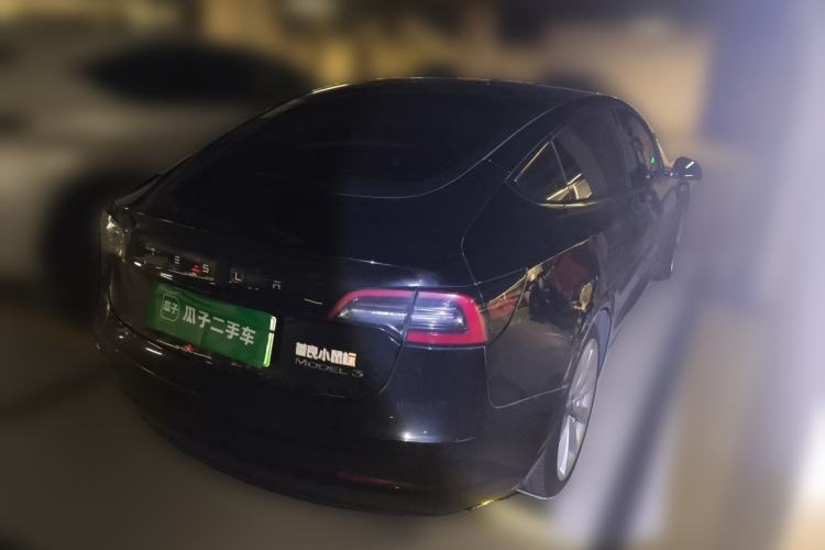 Used Tesla Model 3 2020 Standard Range Rear-Wheel Drive Upgraded Version Rear Right 45 Deg