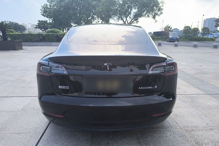 Used Tesla Model 3 2020 Standard Range Rear-Wheel Drive Upgraded Version Rear