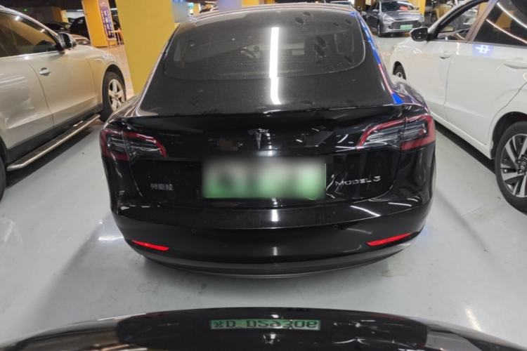 Used Tesla Model 3 2020 Standard Range Rear-Wheel Drive Upgraded Version Rear