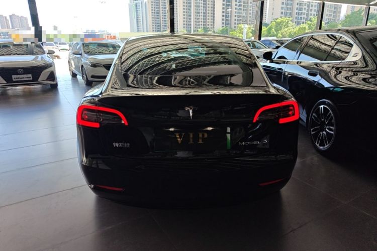 Used Tesla Model 3 2020 Standard Range Rear-Wheel Drive Upgraded Version Rear