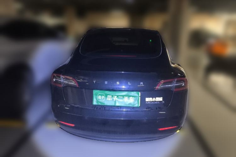 Used Tesla Model 3 2020 Standard Range Rear-Wheel Drive Upgraded Version Rear