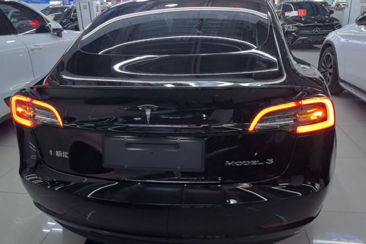 Used Tesla Model 3 2020 Standard Range Rear-Wheel Drive Upgraded Version Rear