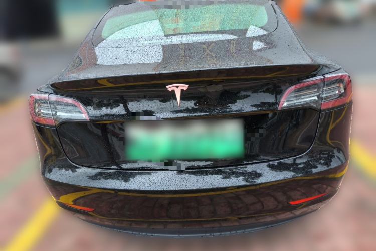Used Tesla Model 3 2020 Standard Range Rear-Wheel Drive Upgraded Version Rear