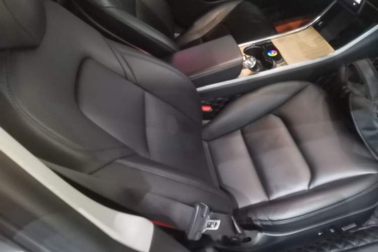 Used Tesla Model 3 2020 Standard Range Rear-Wheel Drive Upgraded Version Right Front Seat