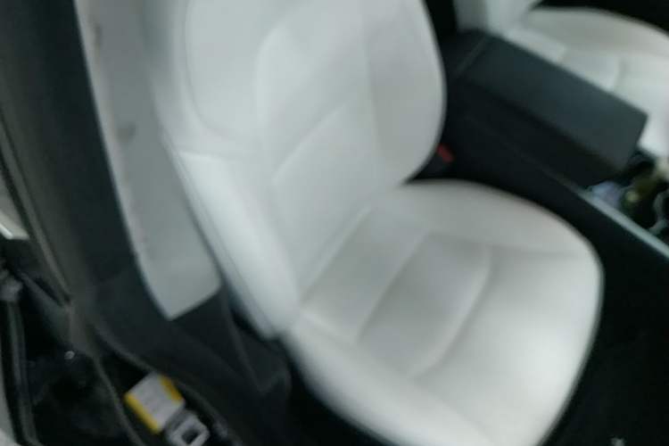 Used Tesla Model 3 2020 Standard Range Rear-Wheel Drive Upgraded Version Right Front Seat