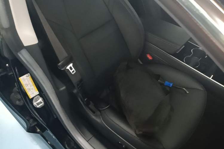 Used Tesla Model 3 2020 Revised Version Standard Range Rear-Wheel Drive – Upgraded Edition Right Front Seat