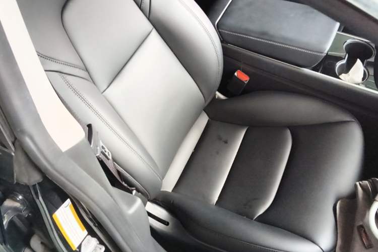 Used Tesla Model 3 2020 Long-Range Rear-Wheel-Drive Version Right Front Seat