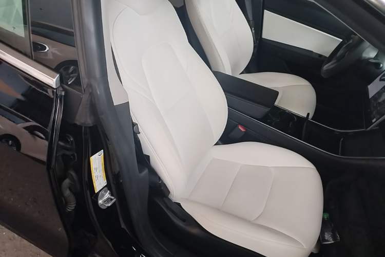 Used Tesla Model 3 2020 Standard Range Rear-Wheel Drive Upgraded Version Right Front Seat
