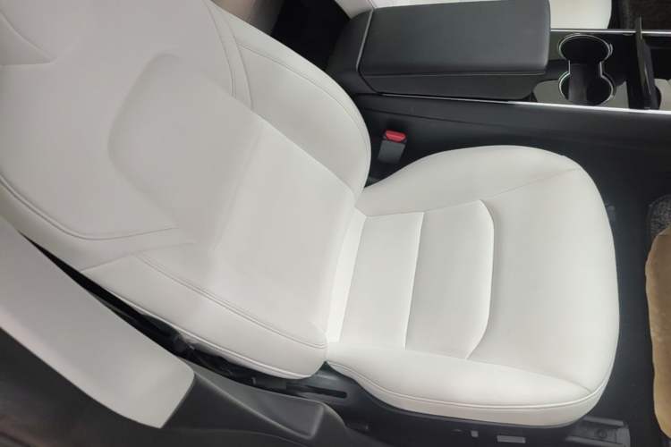 Used Tesla Model 3 2020 Standard Range Rear-Wheel Drive Upgraded Version Right Front Seat