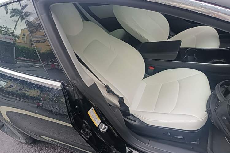 Used Tesla Model 3 2020 Standard Range Rear-Wheel Drive Upgraded Version Right Front Seat