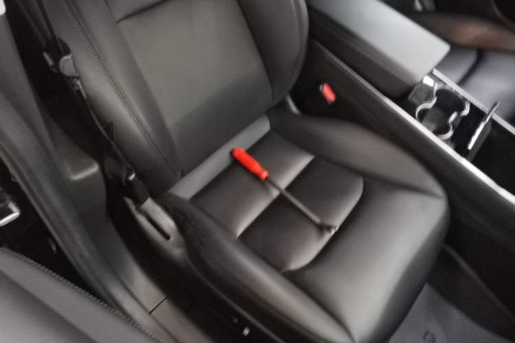 Used Tesla Model 3 2020 Long-Range Rear-Wheel-Drive Version Right Front Seat