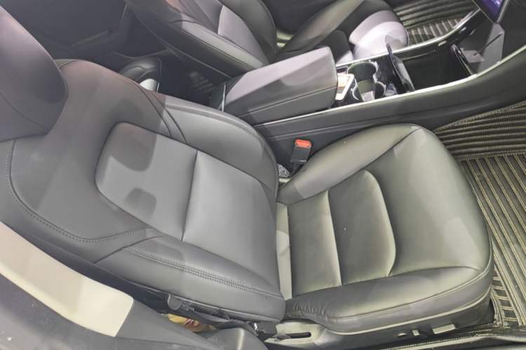 Used Tesla Model 3 2020 Revised Version Standard Range Rear-Wheel Drive – Upgraded Edition Right Front Seat