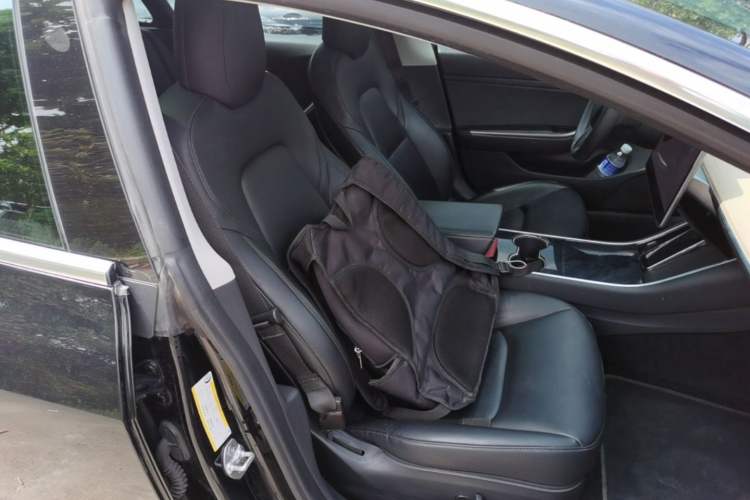Used Tesla Model 3 2020 Standard Range Rear-Wheel Drive Upgraded Version Right Front Seat