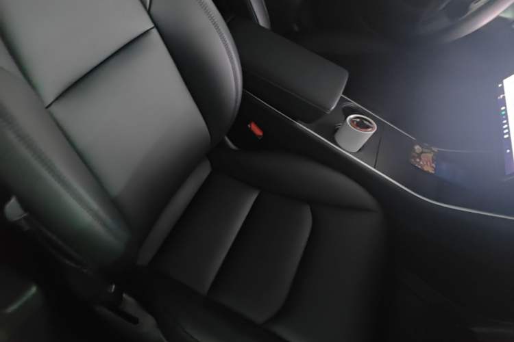 Used Tesla Model 3 2020 Standard Range Rear-Wheel Drive Upgraded Version Right Front Seat