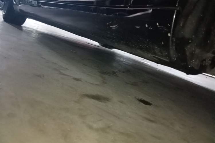 Used Tesla Model 3 2020 Revised Version Standard Range Rear-Wheel Drive – Upgraded Edition Right Side Sill