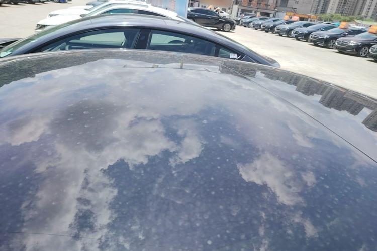 Used Tesla Model 3 2020 Standard Range Rear-Wheel Drive Upgraded Version Roof
